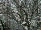 DSCN3302