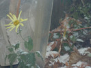 DSCN3304
