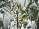 DSCN3327