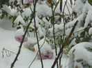 DSCN3328