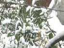 DSCN3330
