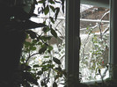 DSCN3338