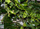 DSCN3348
