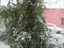 DSCN3354