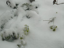DSCN3369