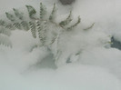 DSCN3374