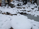 DSCF3617