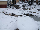 DSCF3619