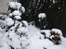 DSCF3633