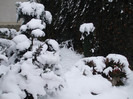 DSCF3634