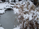 DSCF3635