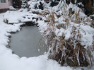 DSCF3636
