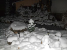 DSCF3647