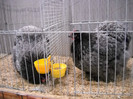 DSCN4072