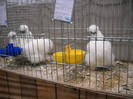 DSCN4170