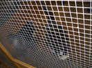 DSCN4234