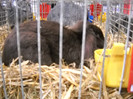 DSCN3851