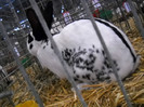 DSCN3880