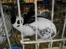 DSCN3881