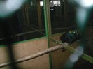 SDC19049