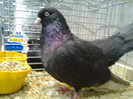 2012-12-07 15.19.44