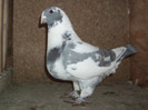f 2012