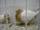 DSCN0162