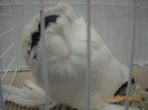 DSCN0163