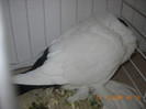DSCN0164