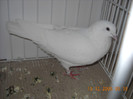 DSCN0166