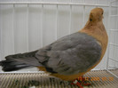 DSCN0172