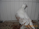 DSCN0175