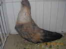 DSCN0176