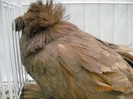 DSCN0178
