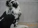 DSCN0179