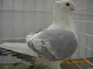 DSCN0183