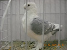 DSCN0184