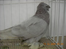 DSCN0190
