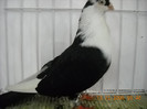 DSCN0196