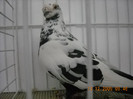 DSCN0197
