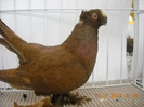 DSCN0198