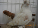 DSCN0199