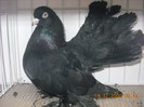 DSCN0204