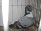 DSCN0213