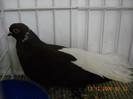 DSCN0215