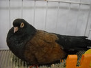 DSCN0220