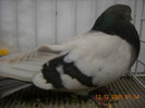 DSCN0221