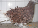 DSCN0227