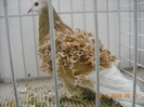 DSCN0229