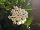 2544464840075666569vkAozm_fs